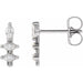 Ladies Natural Diamond Bar Earrings — Platinum