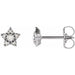 Ladies Natural Diamond Star Earrings — Platinum