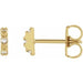 Ladies Natural Diamond Earrings — 14K Yellow Gold