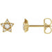 Ladies Natural Diamond Star Earrings — 14K Yellow Gold