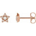 Ladies Natural Diamond Star Earrings — 14K Rose Gold
