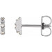 Ladies Natural Diamond Earrings — 14K White Gold