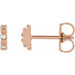 Ladies Natural Diamond Earrings — 14K Rose Gold