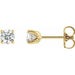Ladies Natural Diamond Stud Earrings — 14K Yellow Gold