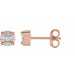 Ladies Natural Diamond Cluster Earrings — 14K Rose Gold