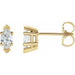Ladies Natural Diamond Earrings — 14K Yellow Gold