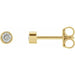 Ladies Natural Diamond Micro Bezel-Set Earrings — 14K Yellow Gold