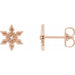 Ladies Natural Diamond Snowflake Earrings — 14K Rose Gold
