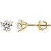 Ladies Natural Diamond Earrings (I1, G-H) — 14K Yellow Gold