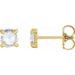 Ladies Rose-Cut Natural Diamond Stud Earrings (Vs/Si1, Ghi) — 14K Yellow Gold