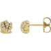 Ladies Natural Diamond Knot Earrings — 14K Yellow Gold