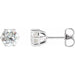Ladies Natural Diamond Stud Earrings (I3, G-H) — Platinum