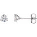 Lab-Grown Diamond Round 3-Prong Cocktail-Style Stud Earrings