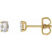 Ladies Rose-Cut Natural Diamond Earrings — 14K Yellow Gold