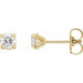 Ladies Natural Diamond Cocktail-Style Earrings (I1, G-H) — 14K Yellow Gold
