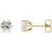 Ladies Natural Diamond Stud Earrings (Si2-Si3, G-H) — 14K Yellow Gold