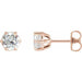 Ladies Natural Diamond Stud Earrings (Si2-Si3, G-H) — 14K Rose Gold