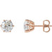 Lab-Grown Diamond Round 6-Prong Stud Earrings