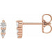 Ladies Natural Diamond Graduated Bar Earrings (I1, G-H) — 14K Rose Gold