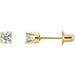 Ladies Natural Diamond Earrings — 14K Yellow Gold