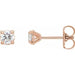 Ladies Natural Diamond Cocktail-Style Earrings (I1, G-H) — 14K Rose Gold