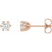 Lab-Grown Diamond Round 6-Prong Stud Earrings