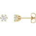 Lab-Grown Diamond Round 6-Prong Stud Earrings