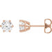 Lab-Grown Diamond Round 6-Prong Stud Earrings