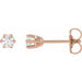 Ladies Natural Diamond Stud Earrings (I3, G-H) — 14K Rose Gold
