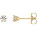 Lab-Grown Diamond Round 6-Prong Stud Earrings