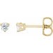 Ladies Natural Diamond Earrings (I1, G-H) — 14K Yellow Gold