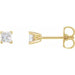 Ladies Natural Diamond Earrings (I1, G-H) — 14K Yellow Gold