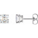 Ladies Natural Diamond Earrings (Vs, Ghi) — Sterling Silver