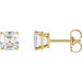 Ladies Natural Diamond Earrings (Vs, Ghi) — 14K Yellow Gold